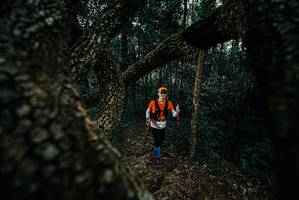 BIB: 
                            <button type="button" onclick="openModal(25684810)" class="btn btn-primary btn-sm float-right btn-popup" data-toggle="modal" data-target=".modal-high-quality">
                        <i class="fas fa-shopping-cart"></i> Add to Cart
                    </button>
                                            <button type="button" onclick="isThisMe(25684810, true)" class="btn btn-success btn-sm float-right btn-popup btn-isme hidden" data-toggle="tooltip" data-placement="bottom" title="นี่คือรูปของคุณใช่ไหม คลิกที่นี่เพื่อเอาเข้าอัลบั้ม">
                        <i class="fas fa-plus"></i> Add to album
                    </button>
                    <button type="button" onclick="isThisMe(25684810, false)" class="btn btn-warning btn-sm float-right btn-popup btn-isnotme hidden">
                        <i class="fas fa-ban"></i> Remove from album
                    </button>